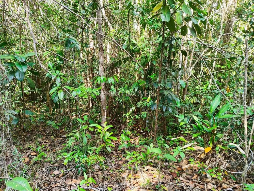Terreno, 3 hectares - Foto 10