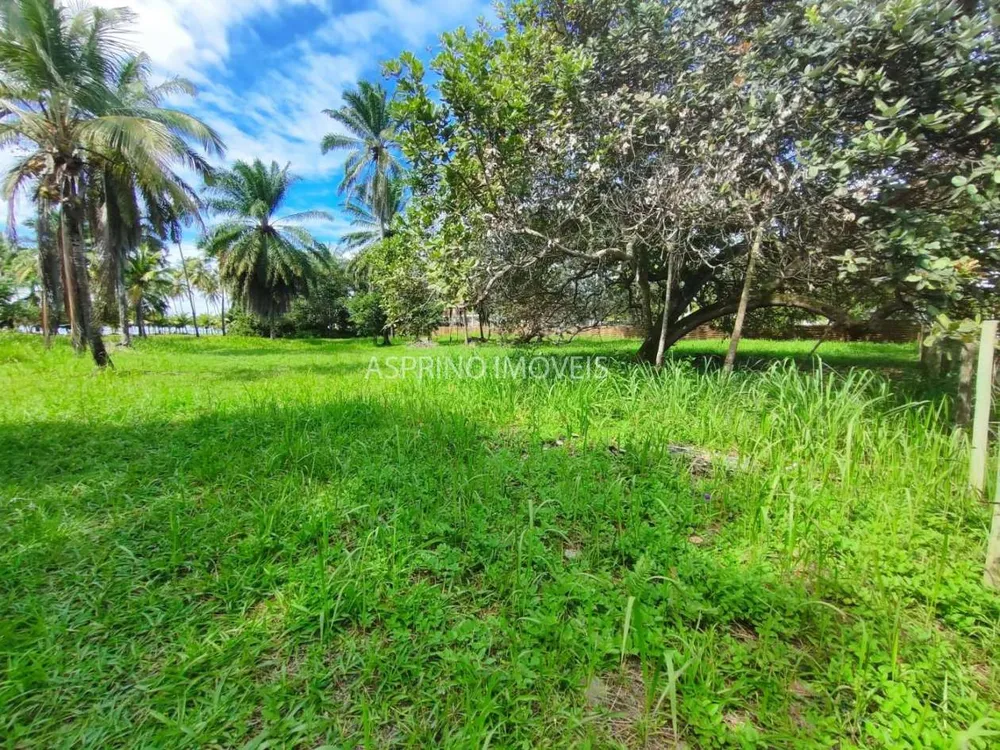 Terreno, 1 hectares - Foto 4