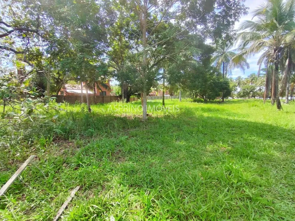 Terreno, 1 hectares - Foto 3