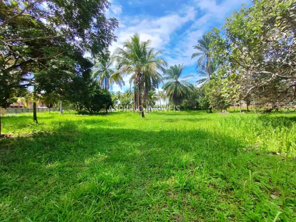 Terreno, 1 hectares - Foto 2