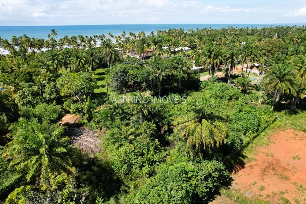 Terreno, 1 hectares - Foto 6