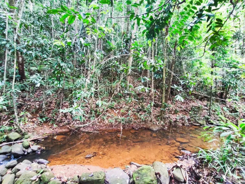 Chácara, 5 quartos, 18 hectares - Foto 10