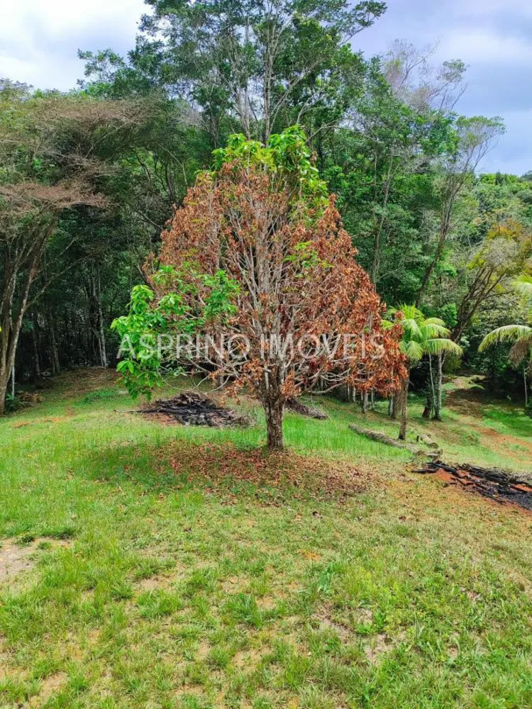 Chácara, 5 quartos, 18 hectares - Foto 4