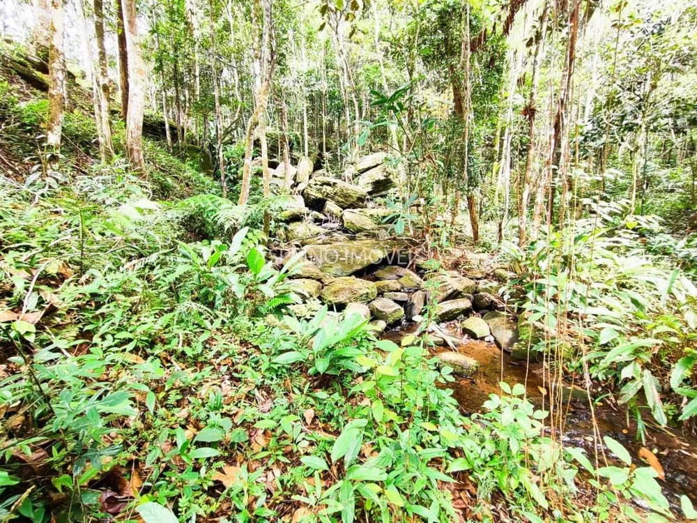 Chácara, 5 quartos, 18 hectares - Foto 8