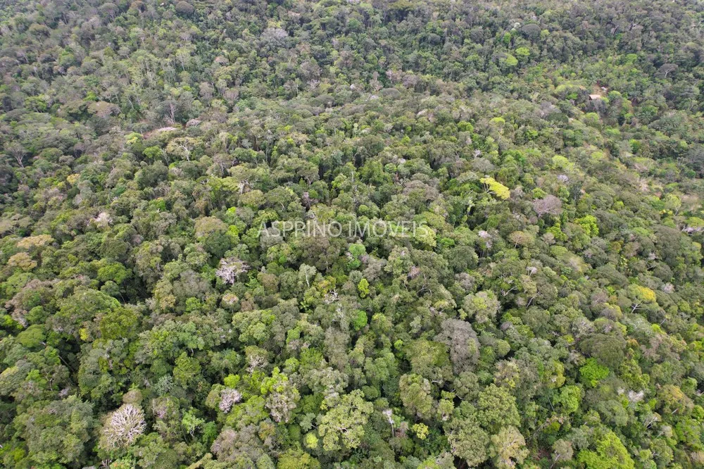 Chácara, 5 quartos, 18 hectares - Foto 12