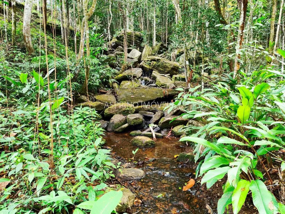 Chácara, 5 quartos, 18 hectares - Foto 7