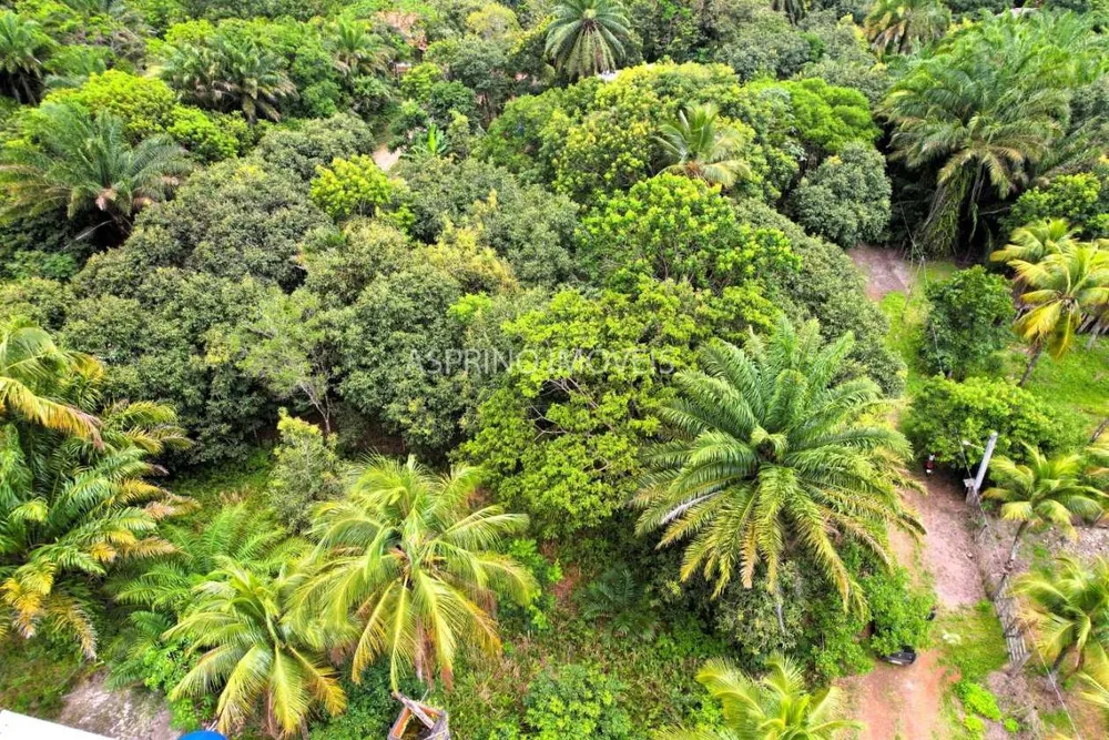 Terreno, 800 m² - Foto 6