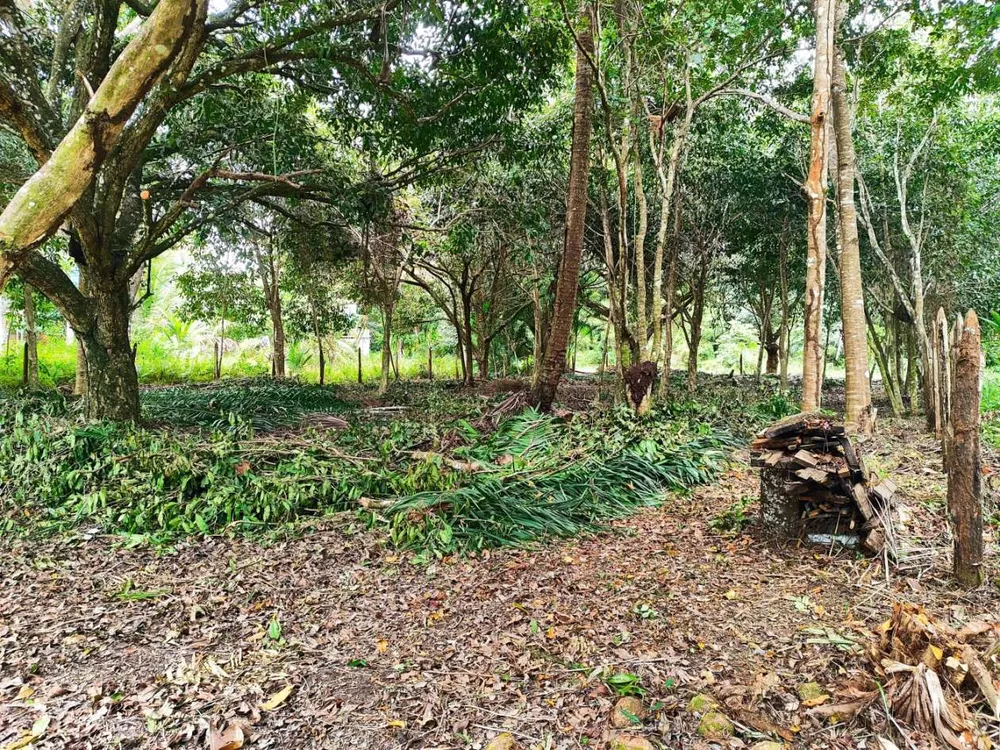 Terreno, 800 m² - Foto 8
