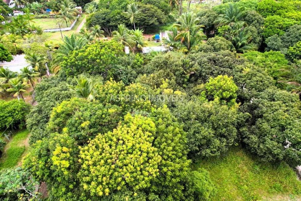 Terreno, 800 m² - Foto 3