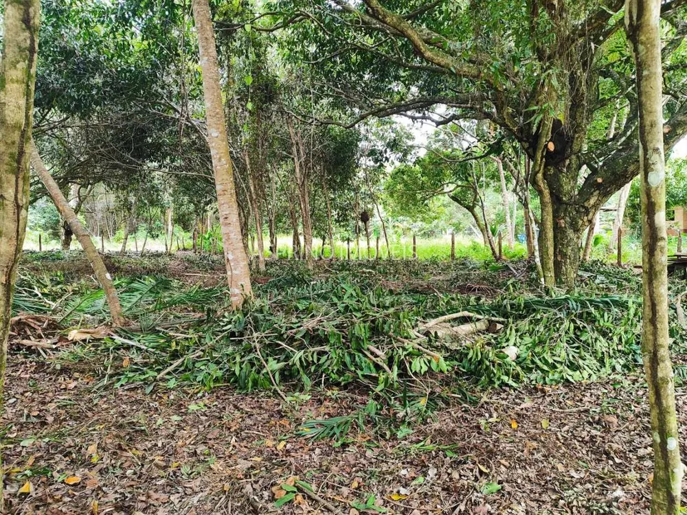 Terreno, 800 m² - Foto 11