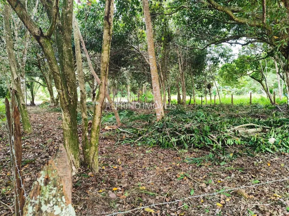 Terreno, 800 m² - Foto 10