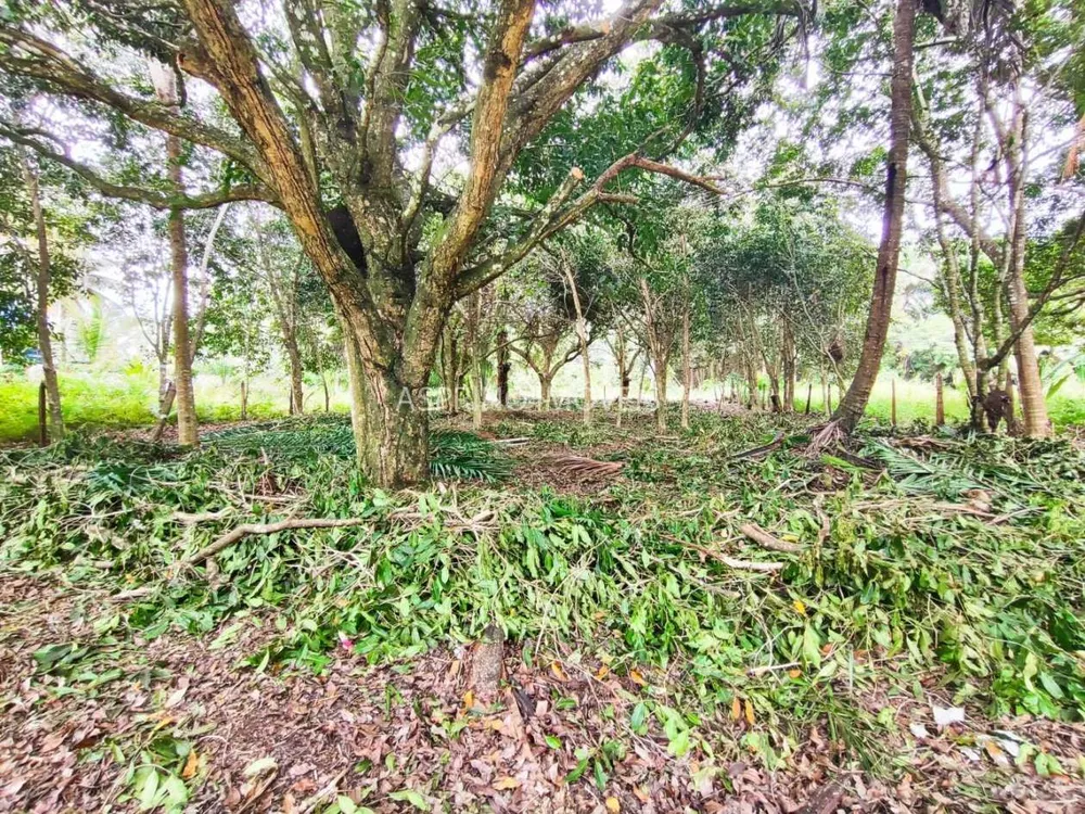 Terreno, 800 m² - Foto 9