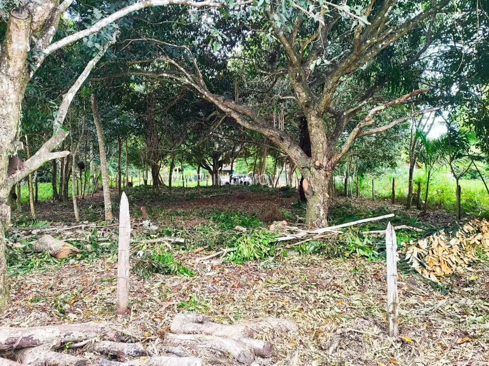 Terreno, 800 m² - Foto 12