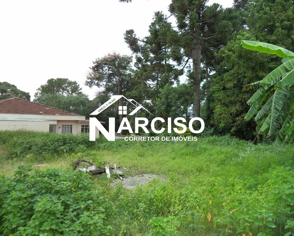 Terreno, 1581 m² - Foto 5