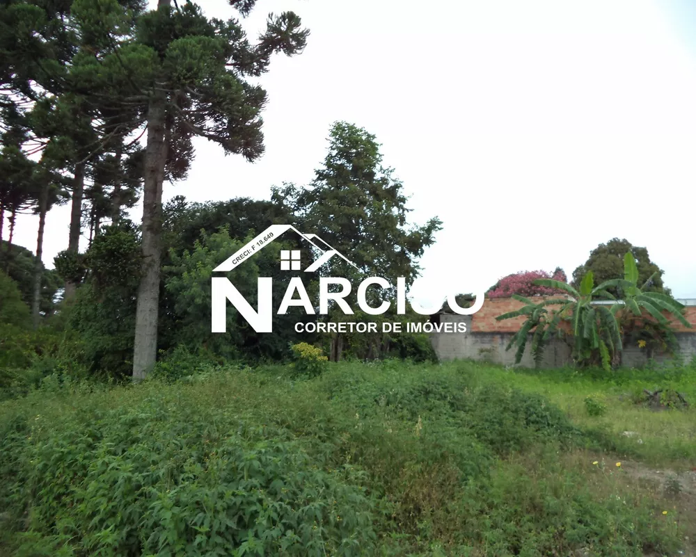 Terreno, 1581 m² - Foto 6