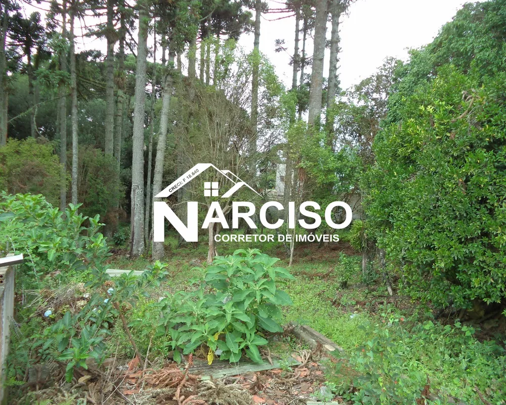 Terreno, 1581 m² - Foto 3