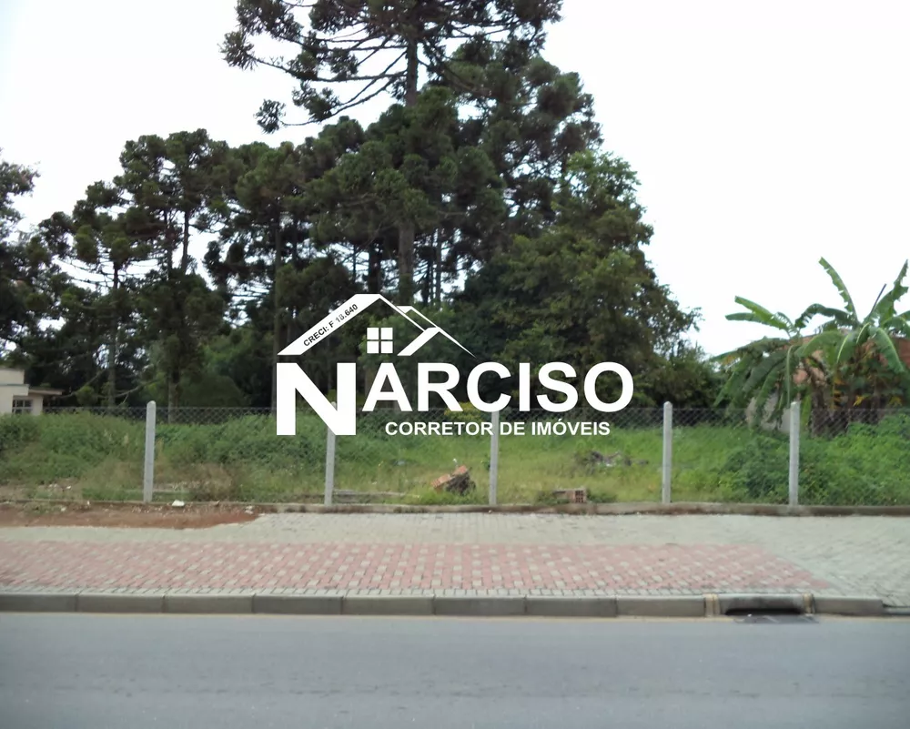 Terreno, 1581 m² - Foto 7