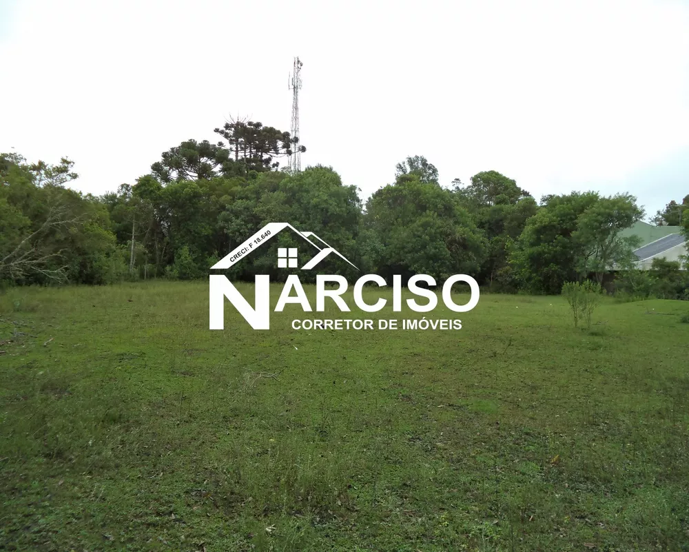 Terreno, 8000 m² - Foto 4
