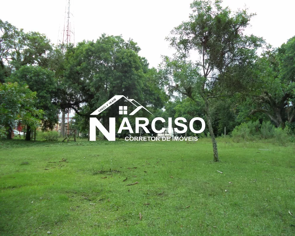 Terreno, 8000 m² - Foto 7