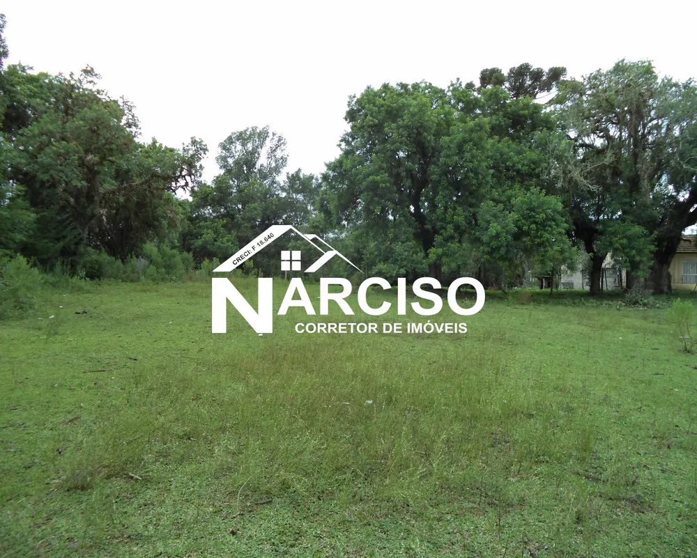 Terreno, 8000 m² - Foto 5