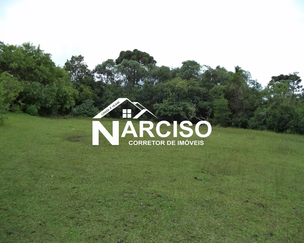 Terreno, 8000 m² - Foto 6