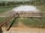Fazenda, 4816 hectares - Foto 4
