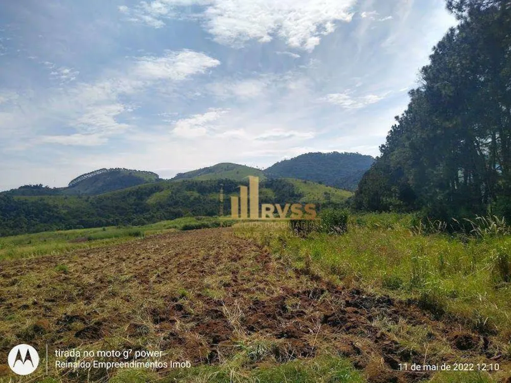 Terreno, 41 hectares - Foto 4