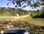 Terreno, 41 hectares - Foto 9