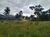Terreno, 41 hectares - Foto 12