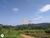 Terreno, 41 hectares - Foto 7