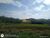 Terreno, 41 hectares - Foto 6