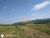 Terreno, 41 hectares - Foto 2