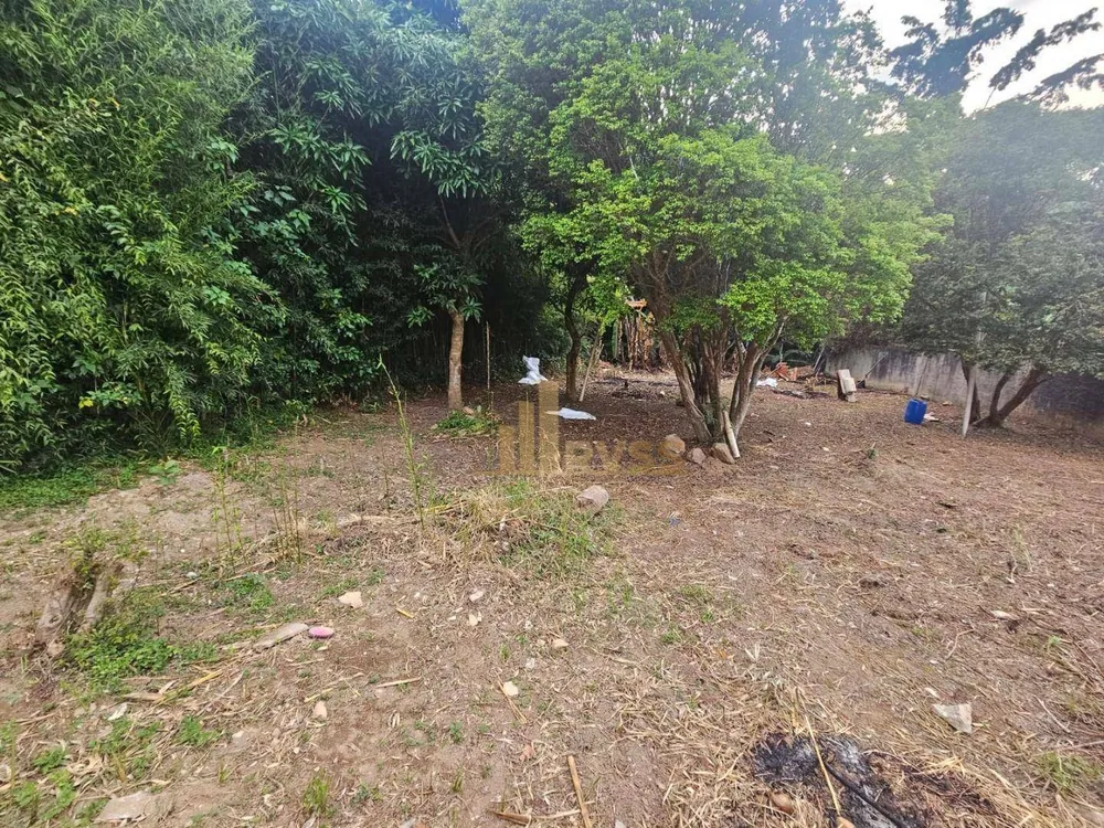 Terreno, 1500 m² - Foto 6