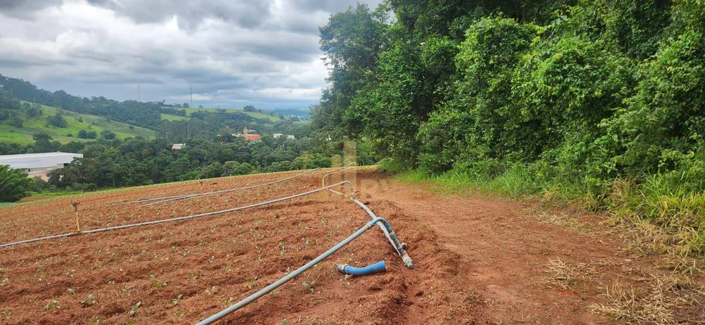 Terreno, 19 hectares - Foto 10