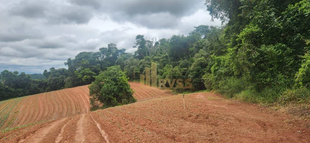 Terreno, 19 hectares - Foto 3