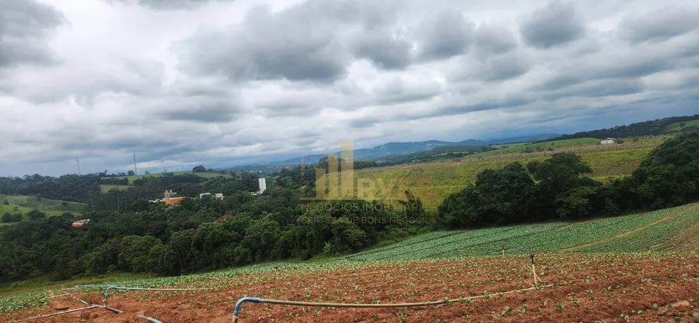 Terreno, 19 hectares - Foto 7