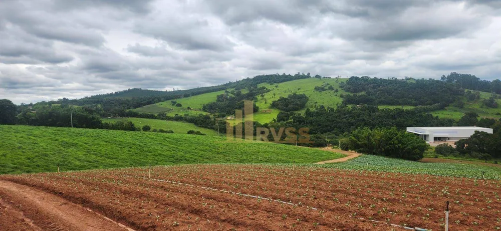 Terreno, 19 hectares - Foto 11