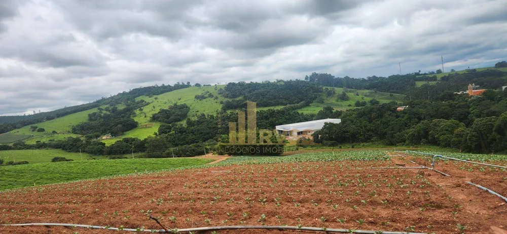 Terreno, 19 hectares - Foto 6