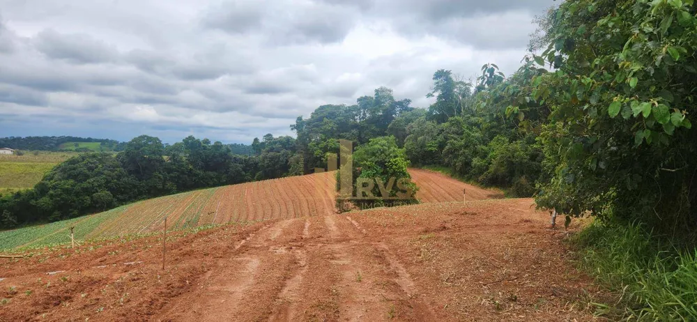 Terreno, 19 hectares - Foto 2