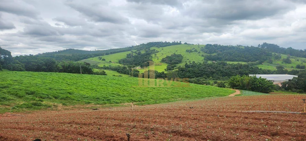 Terreno, 19 hectares - Foto 1