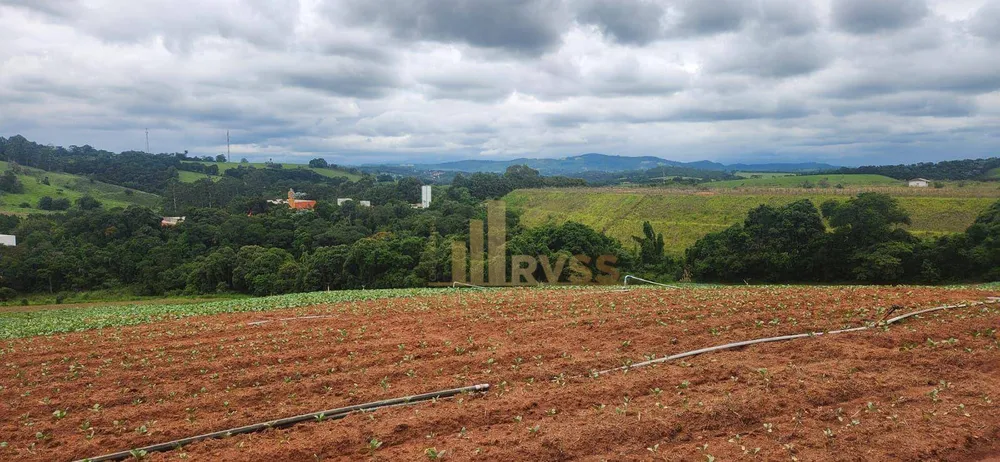 Terreno, 19 hectares - Foto 8