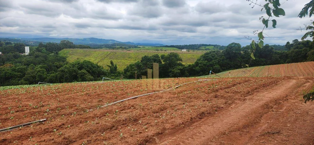 Terreno, 19 hectares - Foto 4