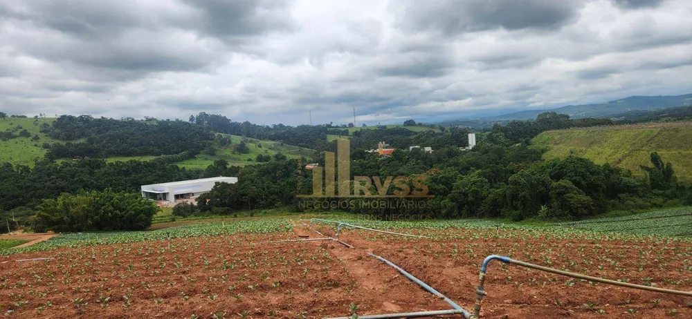 Terreno, 19 hectares - Foto 9