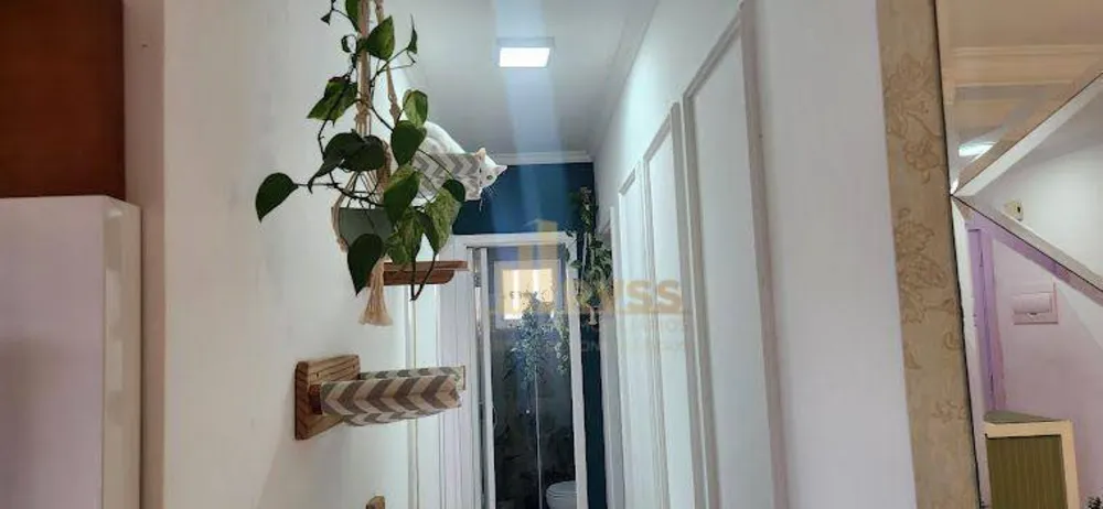 Apartamento, 3 quartos, 62 m² - Foto 5