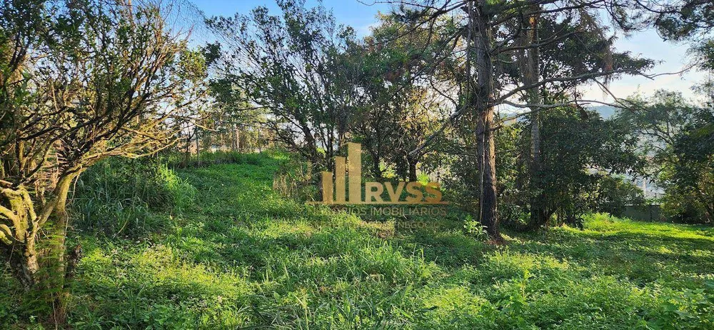 Depósito-Galpão, 7267 m² - Foto 8
