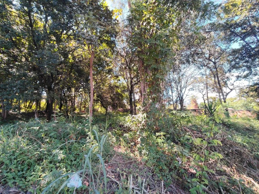 Terreno, 1000 m² - Foto 1