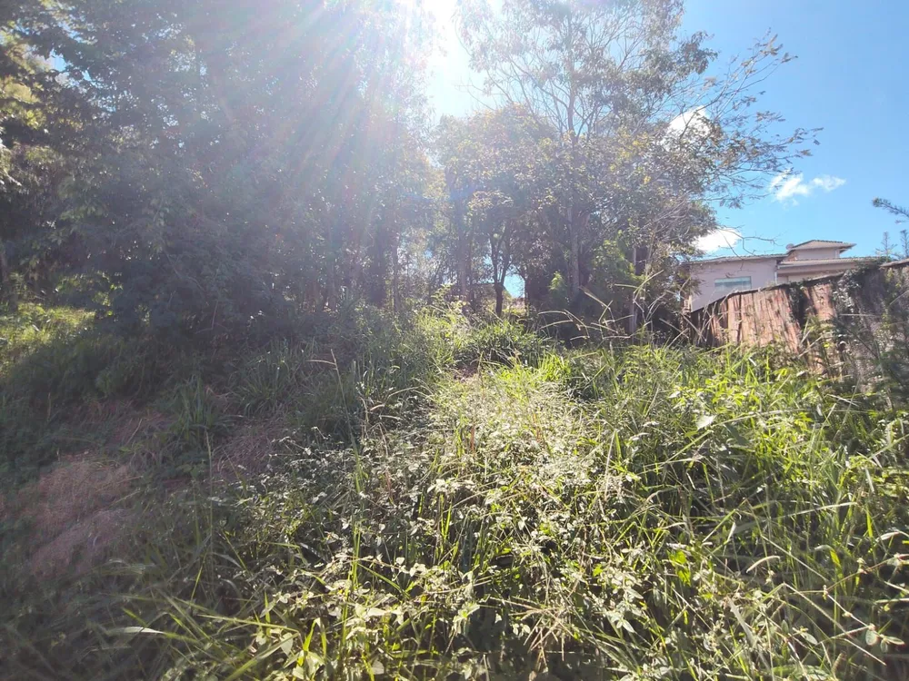 Terreno, 1000 m² - Foto 2