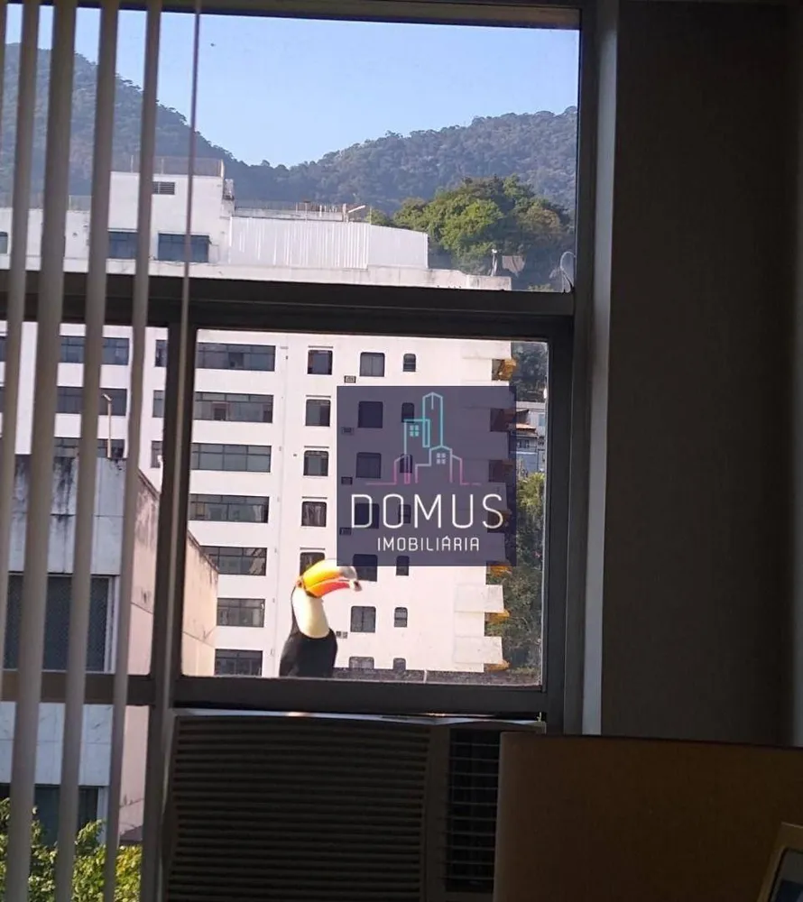 Apartamento, 4 quartos, 170 m² - Foto 1