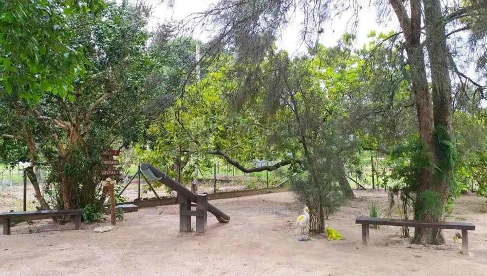 Sítio, 3 quartos, 2 hectares - Foto 32