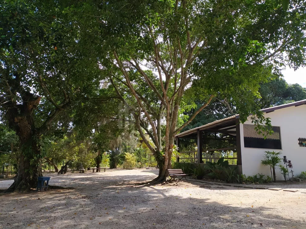 Sítio, 3 quartos, 2 hectares - Foto 6